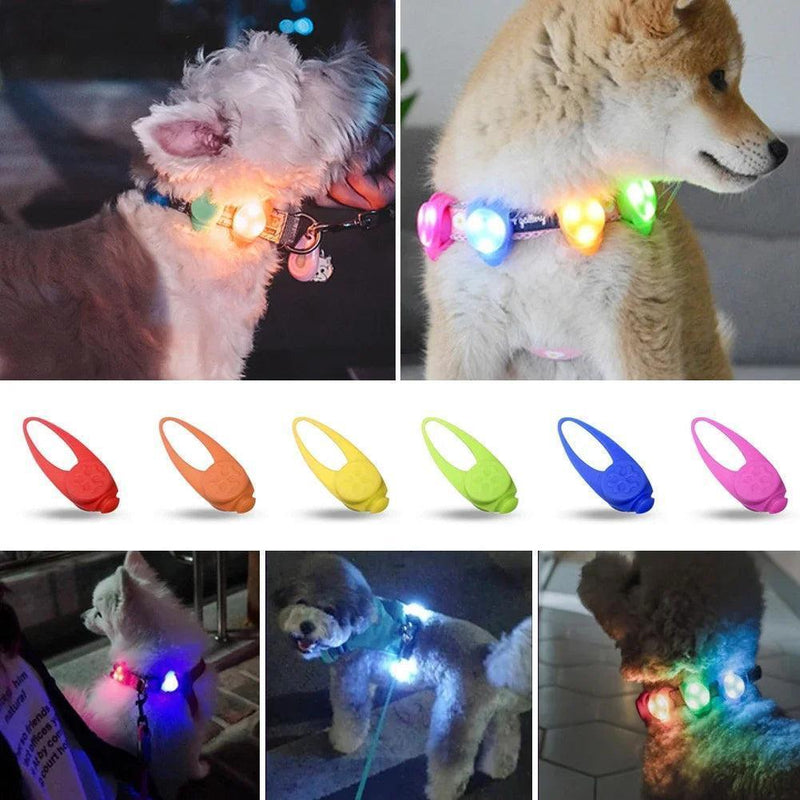 Pingente Luminoso para Cachorros - Núcleo Seguro 