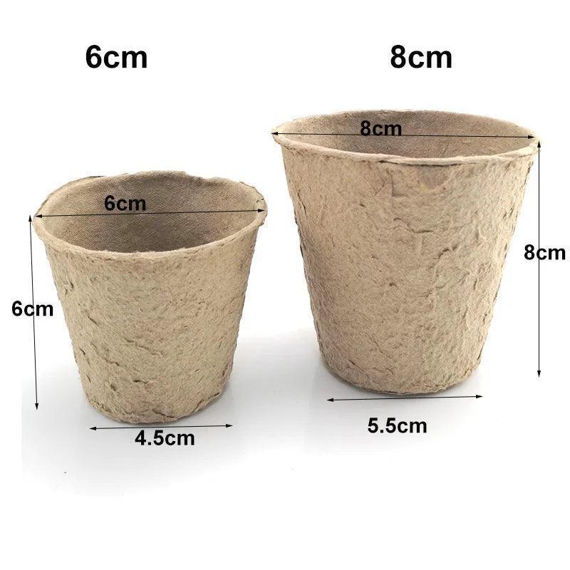 Vaso de planto biodegradável - Núcleo Seguro 